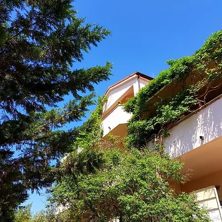 Apartaments Victoria Porec Exterior photo